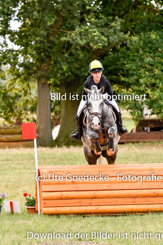 Goldene Schärpe Ponys in Hohenberg Krusemark 2024 | 13072024 Gelände 1 Abt_293