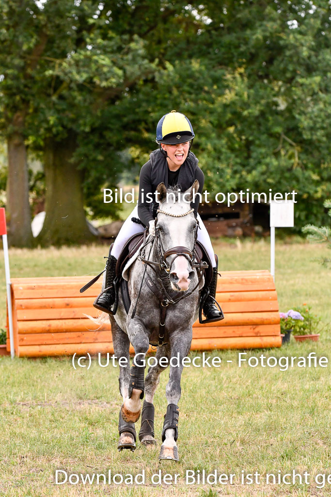 Goldene Schärpe Ponys in Hohenberg Krusemark 2024 | 13072024 Gelände 1 Abt_296 