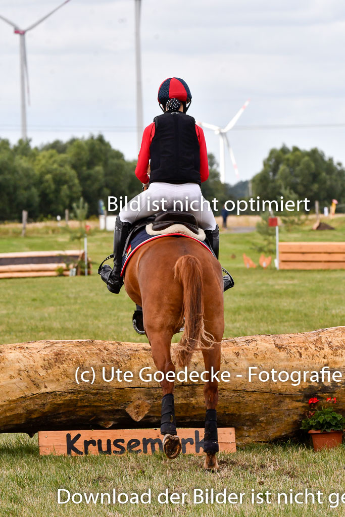 Goldene Schärpe Ponys in Hohenberg Krusemark 2024 | 13072024 Gelände 1 Abt_299 