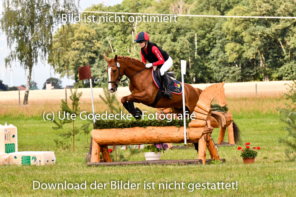 Goldene Schärpe Ponys in Hohenberg Krusemark 2024 | 13072024 Gelände 1 Abt_300