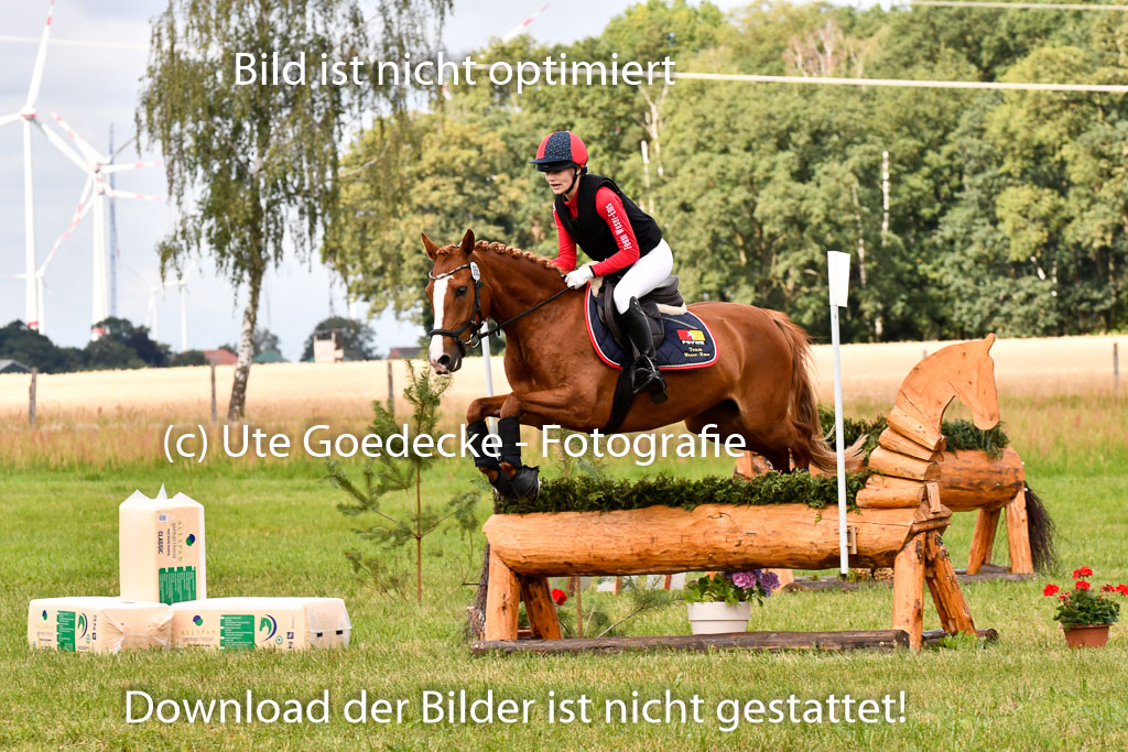 Goldene Schärpe Ponys in Hohenberg Krusemark 2024 | 13072024 Gelände 1 Abt_301