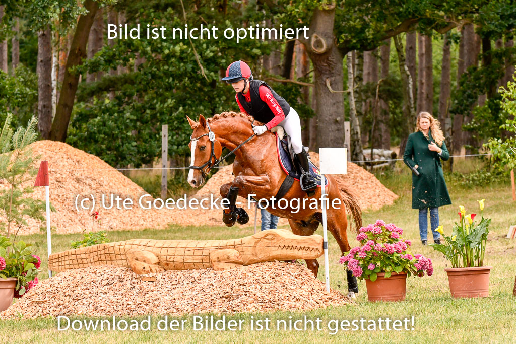 Goldene Schärpe Ponys in Hohenberg Krusemark 2024 | 13072024 Gelände 1 Abt_303 