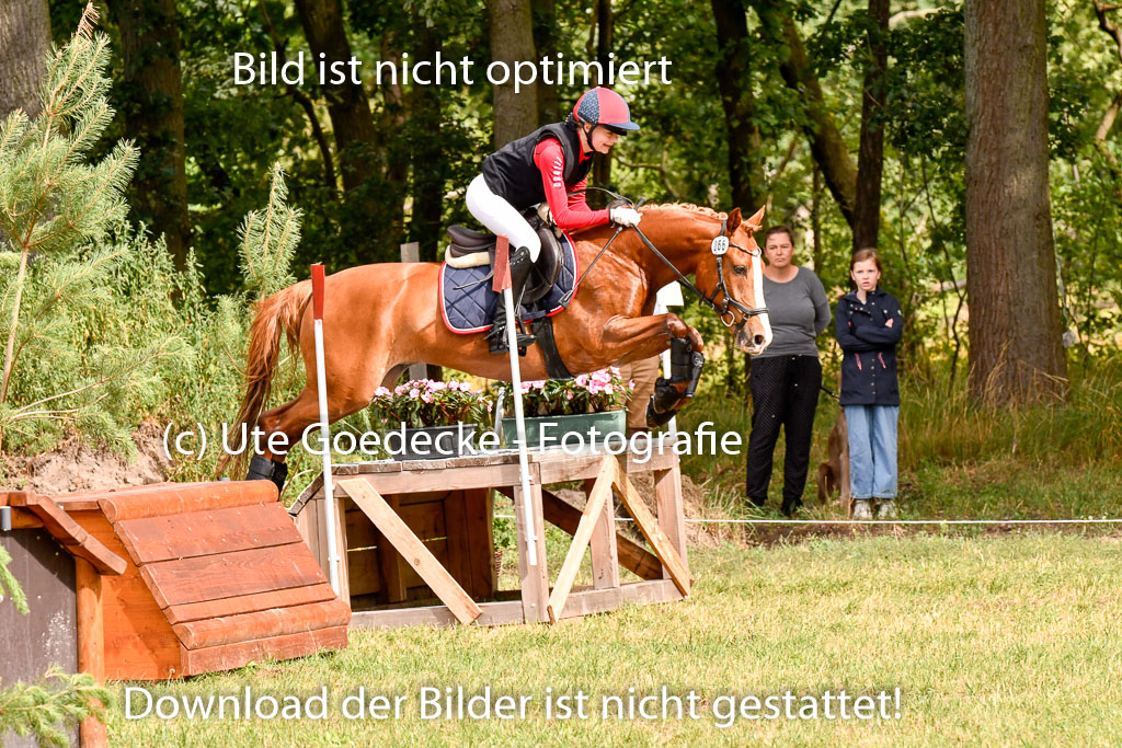 Goldene Schärpe Ponys in Hohenberg Krusemark 2024 | 13072024 Gelände 1 Abt_305