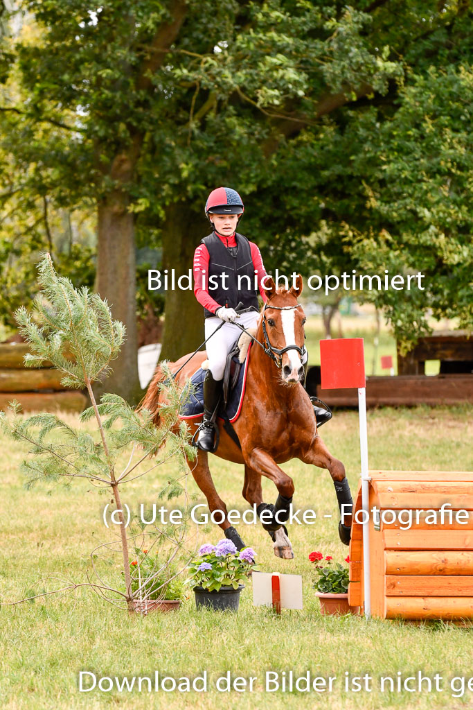 Goldene Schärpe Ponys in Hohenberg Krusemark 2024 | 13072024 Gelände 1 Abt_306