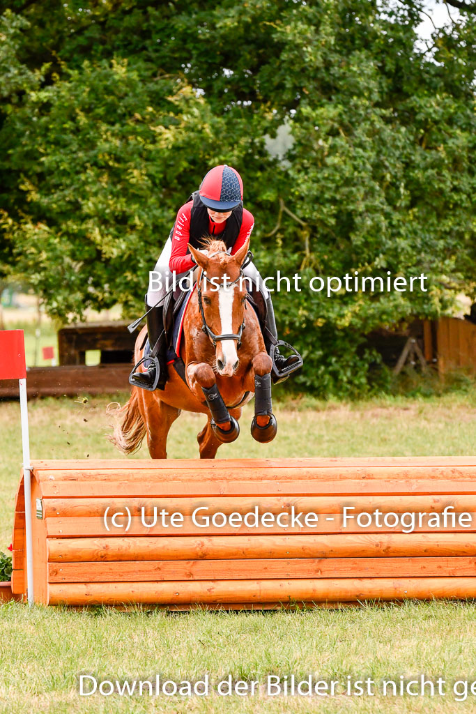Goldene Schärpe Ponys in Hohenberg Krusemark 2024 | 13072024 Gelände 1 Abt_307