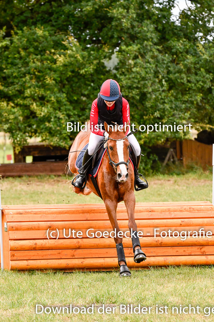Goldene Schärpe Ponys in Hohenberg Krusemark 2024 | 13072024 Gelände 1 Abt_308