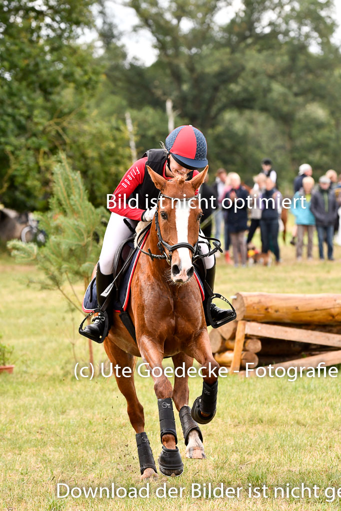 Goldene Schärpe Ponys in Hohenberg Krusemark 2024 | 13072024 Gelände 1 Abt_309 