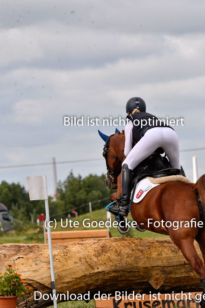 Goldene Schärpe Ponys in Hohenberg Krusemark 2024 | 13072024 Gelände 1 Abt_311 