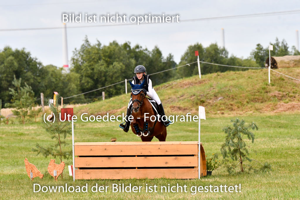 Goldene Schärpe Ponys in Hohenberg Krusemark 2024 | 13072024 Gelände 1 Abt_313 