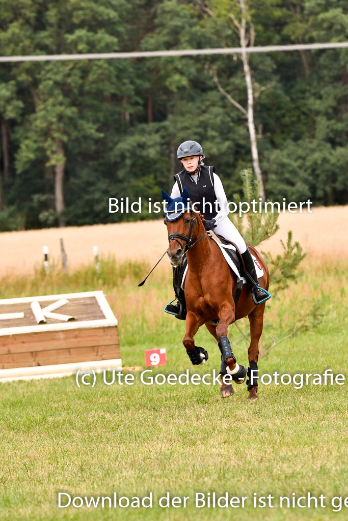 Goldene Schärpe Ponys in Hohenberg Krusemark 2024 | 13072024 Gelände 1 Abt_315 