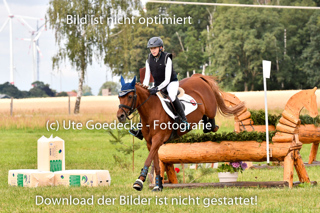 Goldene Schärpe Ponys in Hohenberg Krusemark 2024 | 13072024 Gelände 1 Abt_317