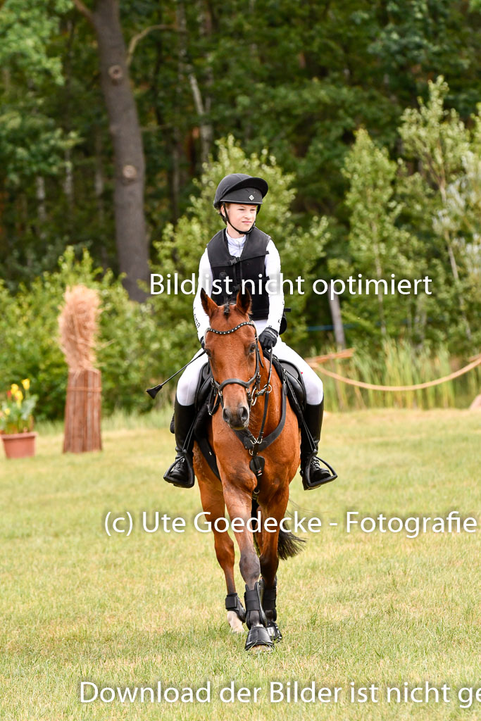 Goldene Schärpe Ponys in Hohenberg Krusemark 2024 | 13072024 Gelände 1 Abt_318