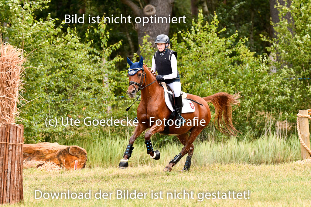 Goldene Schärpe Ponys in Hohenberg Krusemark 2024 | 13072024 Gelände 1 Abt_320
