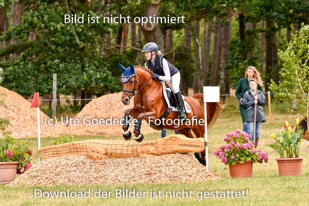 Goldene Schärpe Ponys in Hohenberg Krusemark 2024 | 13072024 Gelände 1 Abt_321 