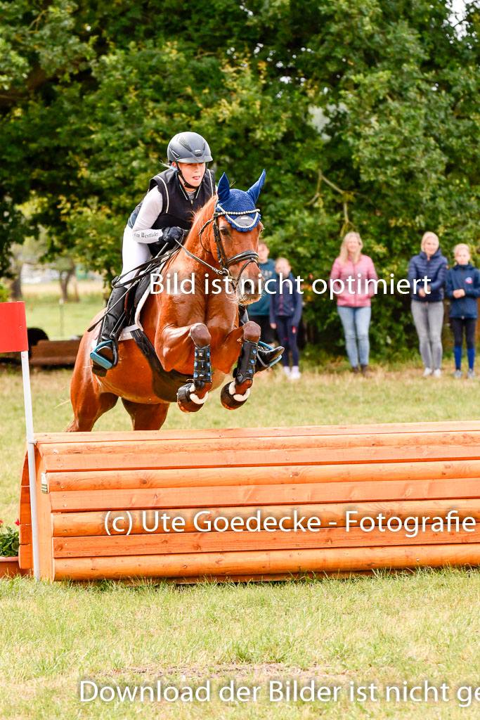 Goldene Schärpe Ponys in Hohenberg Krusemark 2024 | 13072024 Gelände 1 Abt_324 