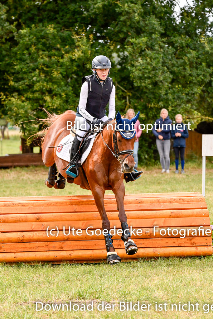 Goldene Schärpe Ponys in Hohenberg Krusemark 2024 | 13072024 Gelände 1 Abt_325 