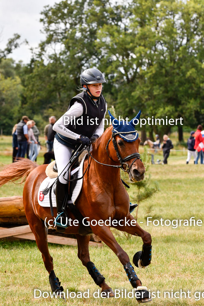 Goldene Schärpe Ponys in Hohenberg Krusemark 2024 | 13072024 Gelände 1 Abt_326 