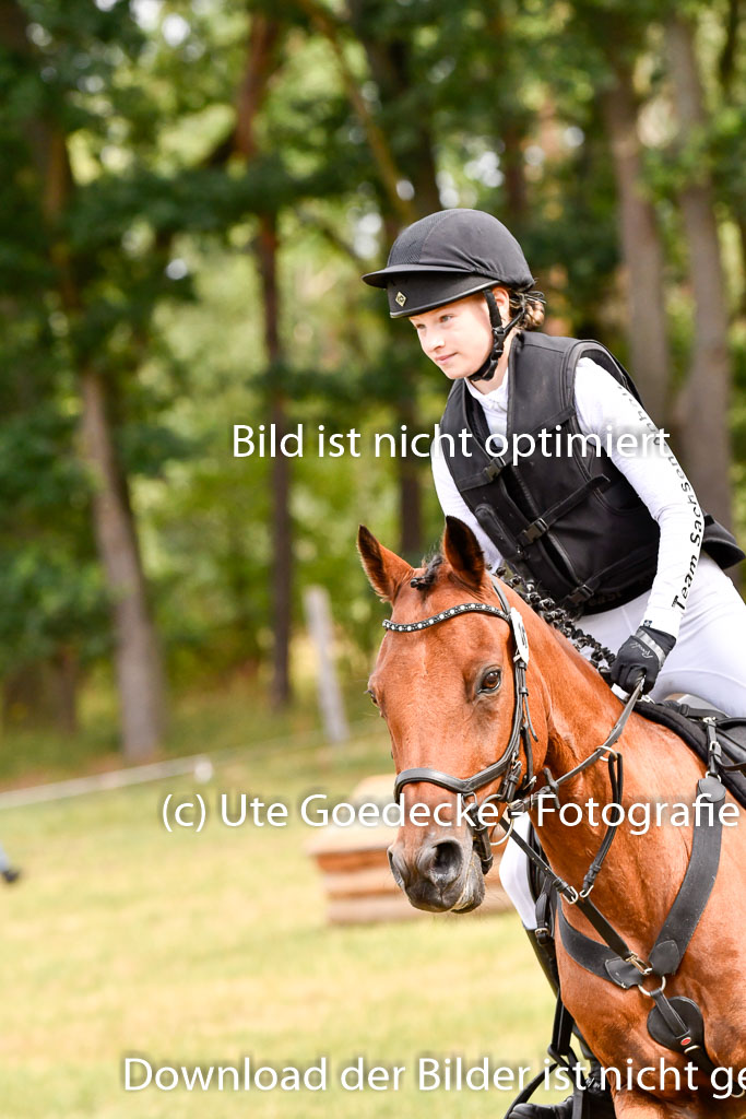 Goldene Schärpe Ponys in Hohenberg Krusemark 2024 | 13072024 Gelände 1 Abt_327 