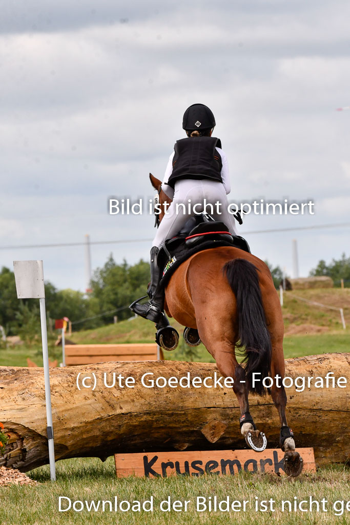 Goldene Schärpe Ponys in Hohenberg Krusemark 2024 | 13072024 Gelände 1 Abt_328 