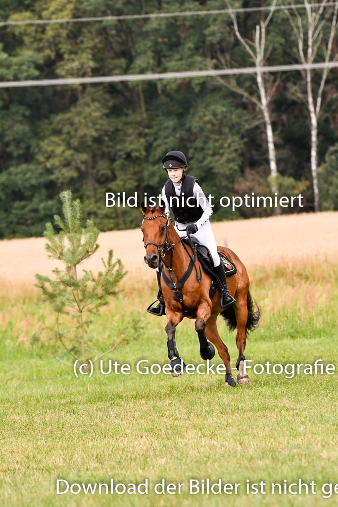 Goldene Schärpe Ponys in Hohenberg Krusemark 2024 | 13072024 Gelände 1 Abt_330