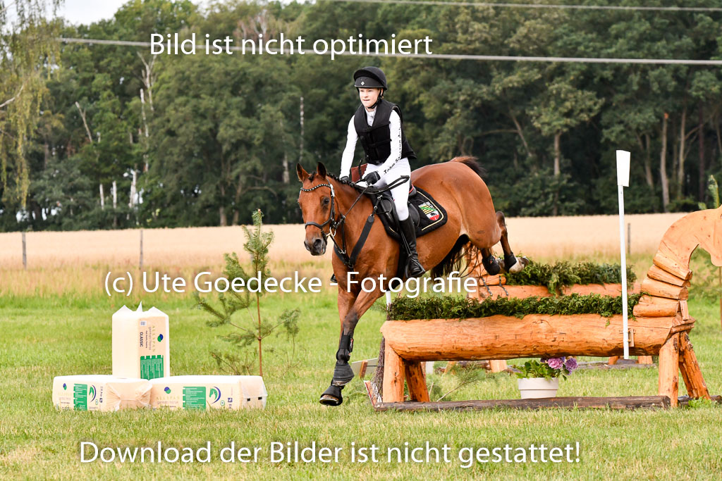 Goldene Schärpe Ponys in Hohenberg Krusemark 2024 | 13072024 Gelände 1 Abt_333