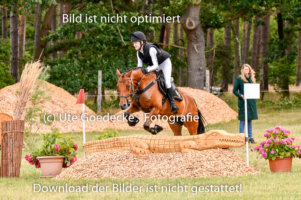 Goldene Schärpe Ponys in Hohenberg Krusemark 2024 | 13072024 Gelände 1 Abt_335