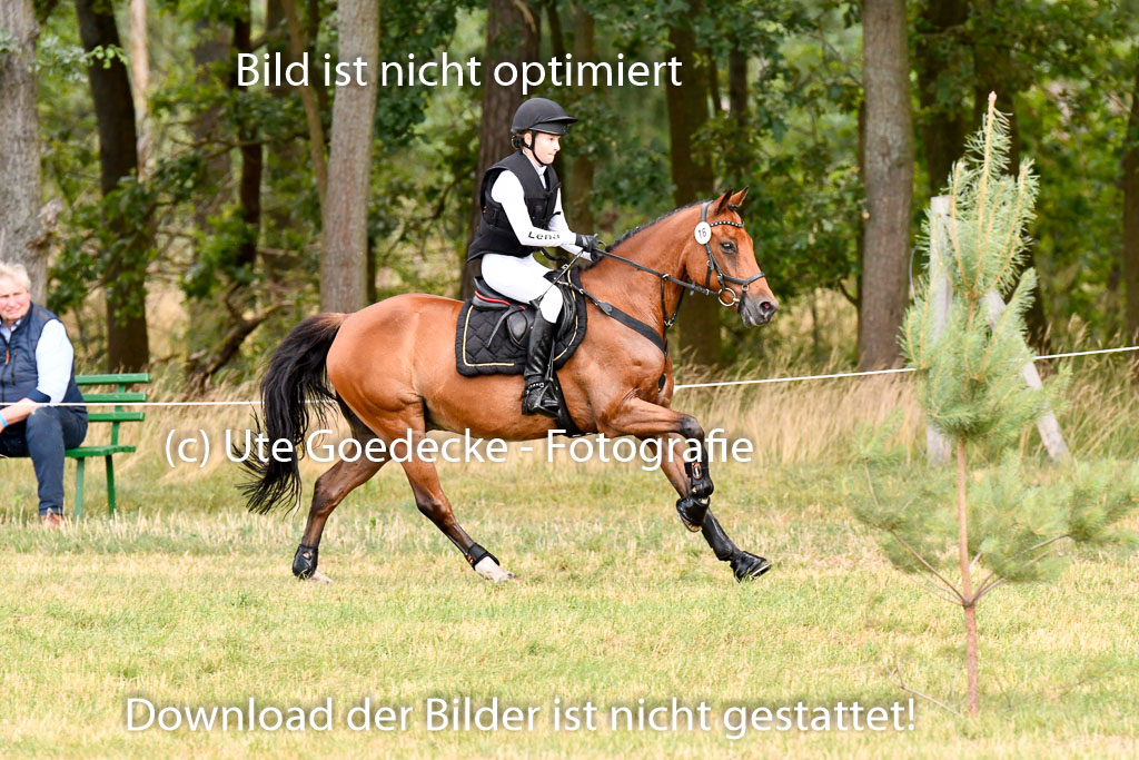 Goldene Schärpe Ponys in Hohenberg Krusemark 2024 | 13072024 Gelände 1 Abt_337