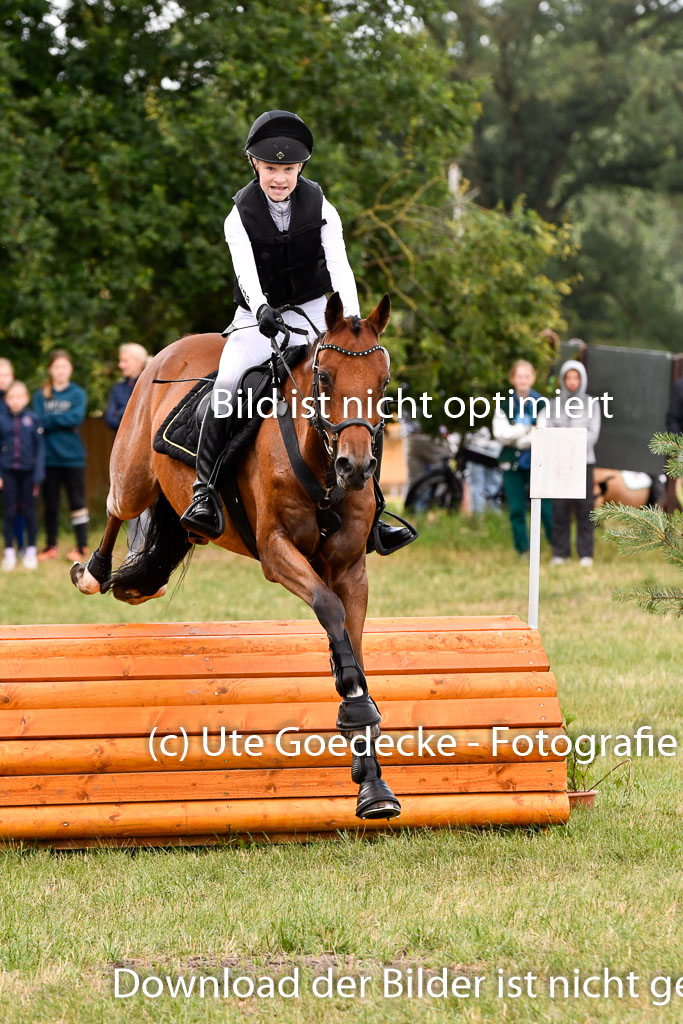 Goldene Schärpe Ponys in Hohenberg Krusemark 2024 | 13072024 Gelände 1 Abt_341
