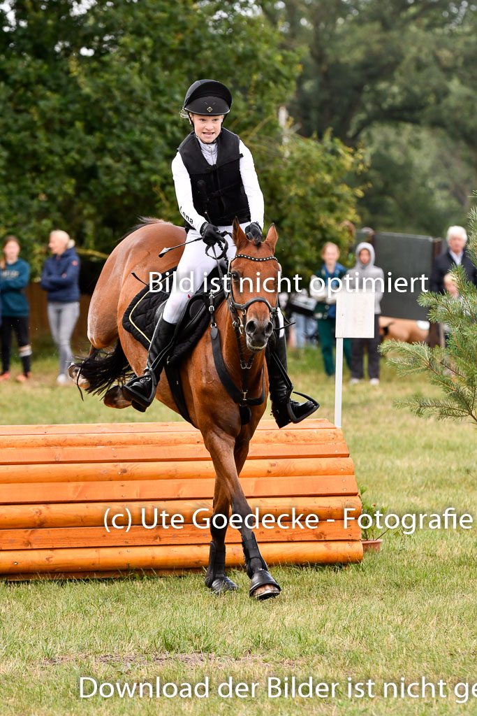 Goldene Schärpe Ponys in Hohenberg Krusemark 2024 | 13072024 Gelände 1 Abt_342 