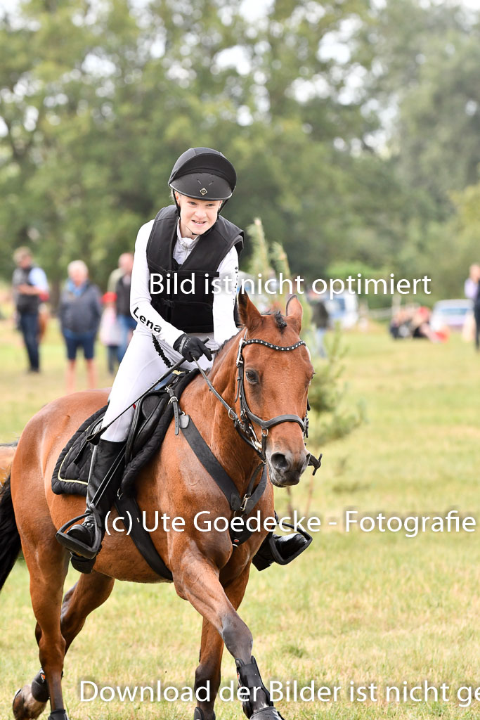 Goldene Schärpe Ponys in Hohenberg Krusemark 2024 | 13072024 Gelände 1 Abt_345 