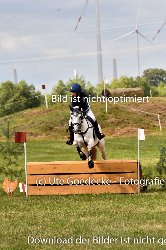 Goldene Schärpe Ponys in Hohenberg Krusemark 2024 | 13072024 Gelände 1 Abt_352 