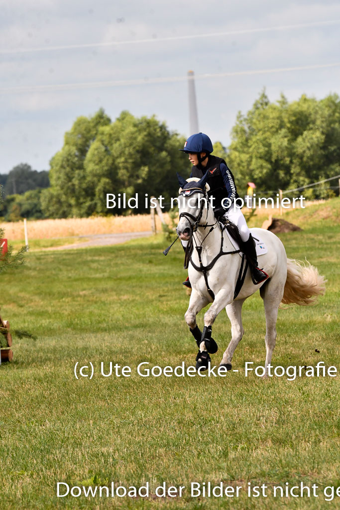 Goldene Schärpe Ponys in Hohenberg Krusemark 2024 | 13072024 Gelände 1 Abt_353 