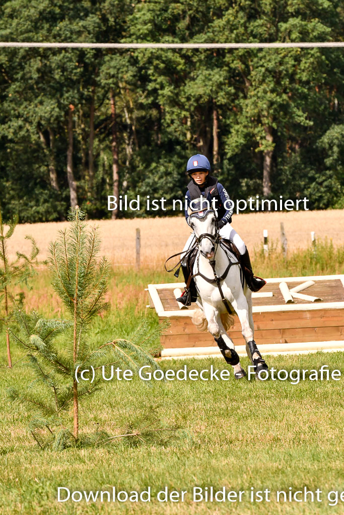 Goldene Schärpe Ponys in Hohenberg Krusemark 2024 | 13072024 Gelände 1 Abt_354 