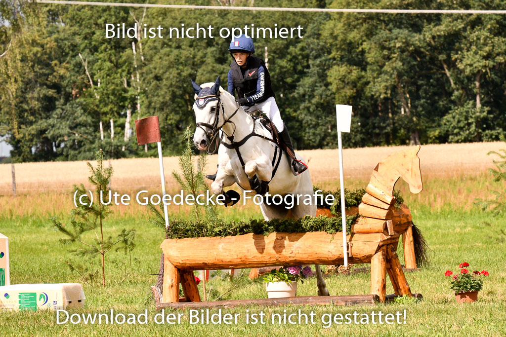 Goldene Schärpe Ponys in Hohenberg Krusemark 2024 | 13072024 Gelände 1 Abt_355