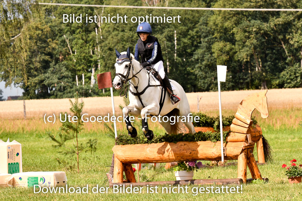 Goldene Schärpe Ponys in Hohenberg Krusemark 2024 | 13072024 Gelände 1 Abt_356 