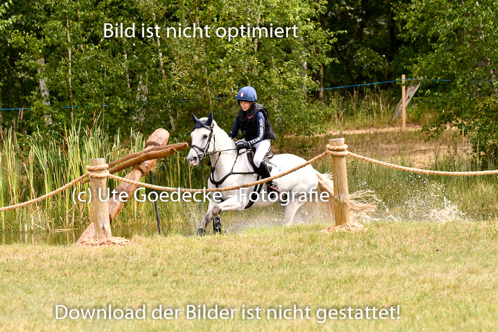 Goldene Schärpe Ponys in Hohenberg Krusemark 2024 | 13072024 Gelände 1 Abt_357