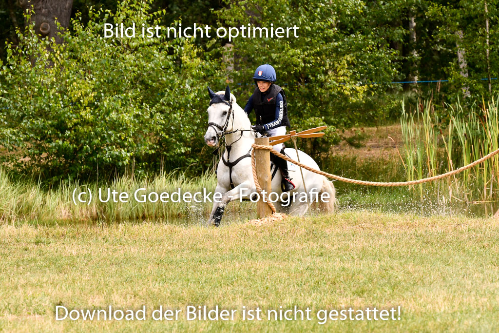 Goldene Schärpe Ponys in Hohenberg Krusemark 2024 | 13072024 Gelände 1 Abt_358 