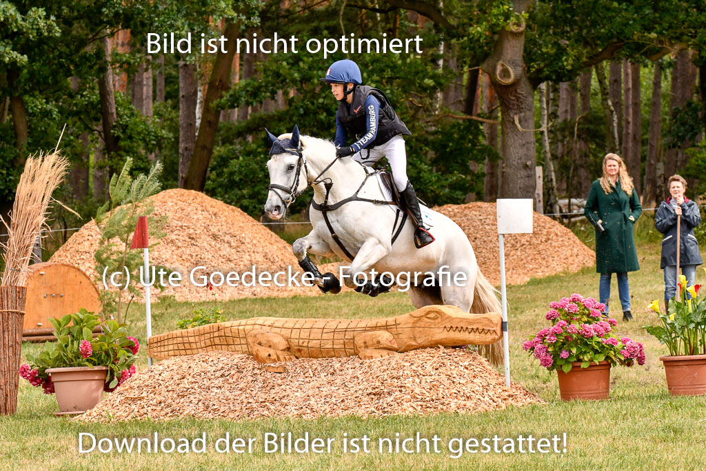 Goldene Schärpe Ponys in Hohenberg Krusemark 2024 | 13072024 Gelände 1 Abt_360