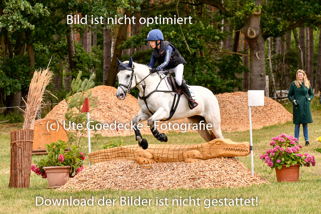 Goldene Schärpe Ponys in Hohenberg Krusemark 2024 | 13072024 Gelände 1 Abt_361