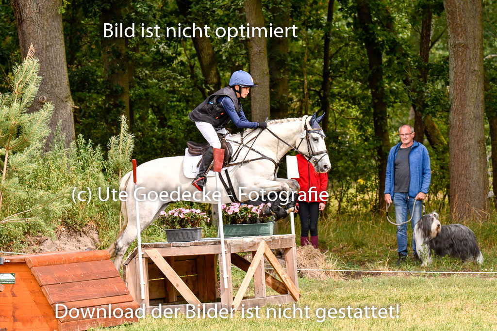 Goldene Schärpe Ponys in Hohenberg Krusemark 2024 | 13072024 Gelände 1 Abt_363