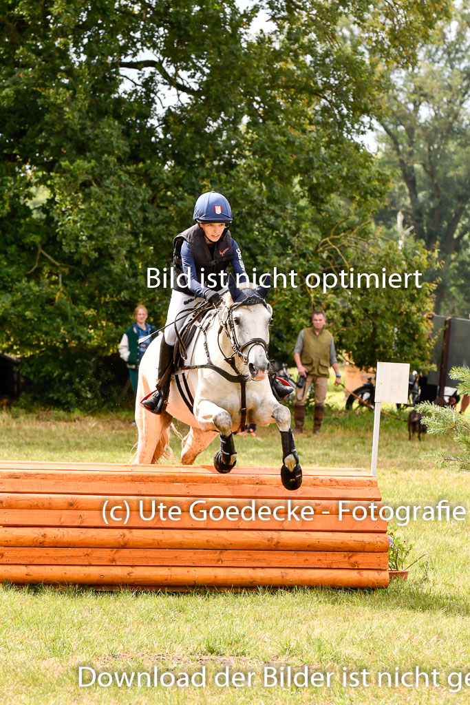 Goldene Schärpe Ponys in Hohenberg Krusemark 2024 | 13072024 Gelände 1 Abt_365