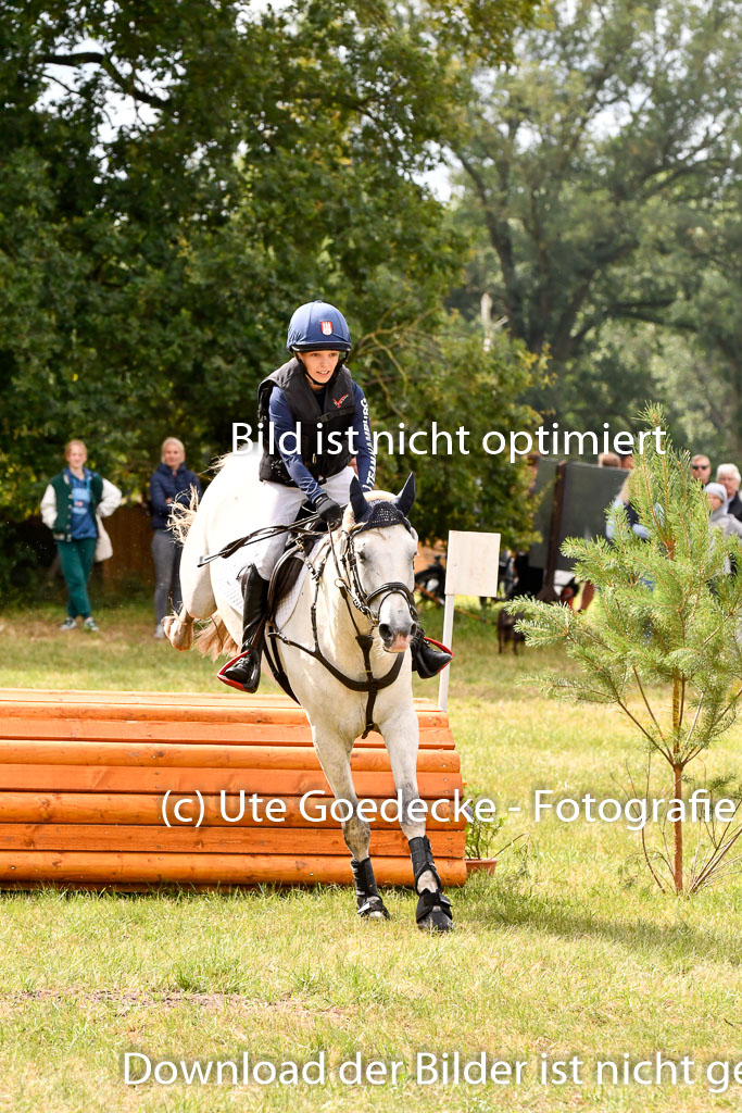 Goldene Schärpe Ponys in Hohenberg Krusemark 2024 | 13072024 Gelände 1 Abt_366 