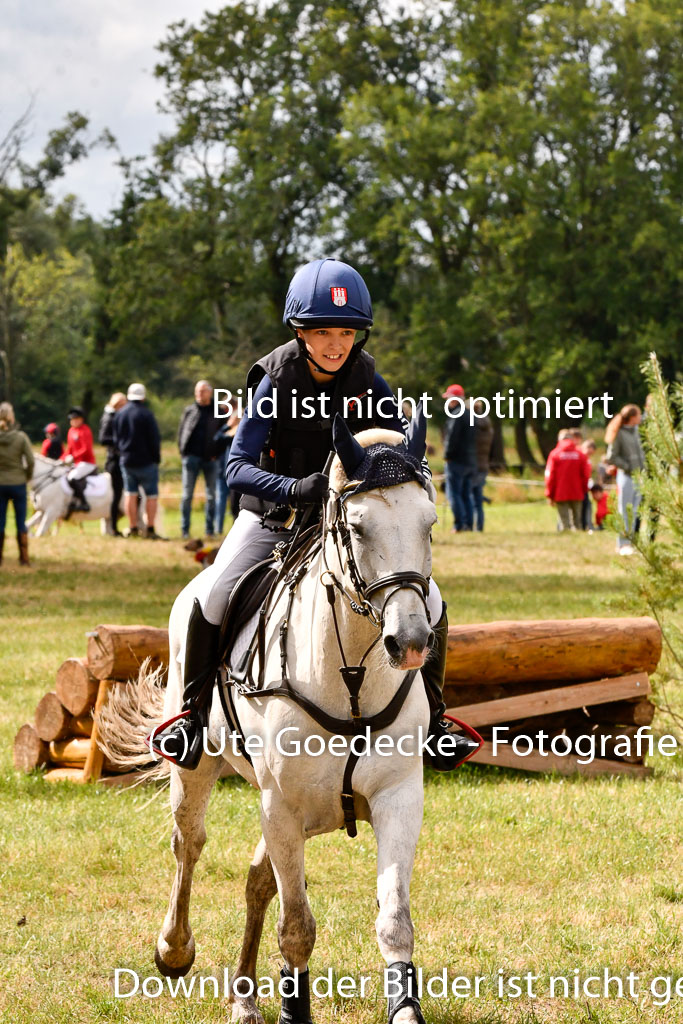 Goldene Schärpe Ponys in Hohenberg Krusemark 2024 | 13072024 Gelände 1 Abt_369