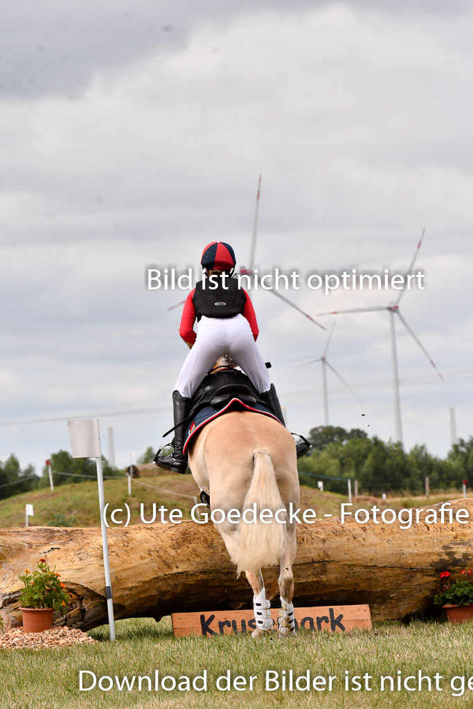 Goldene Schärpe Ponys in Hohenberg Krusemark 2024 | 13072024 Gelände 1 Abt_371