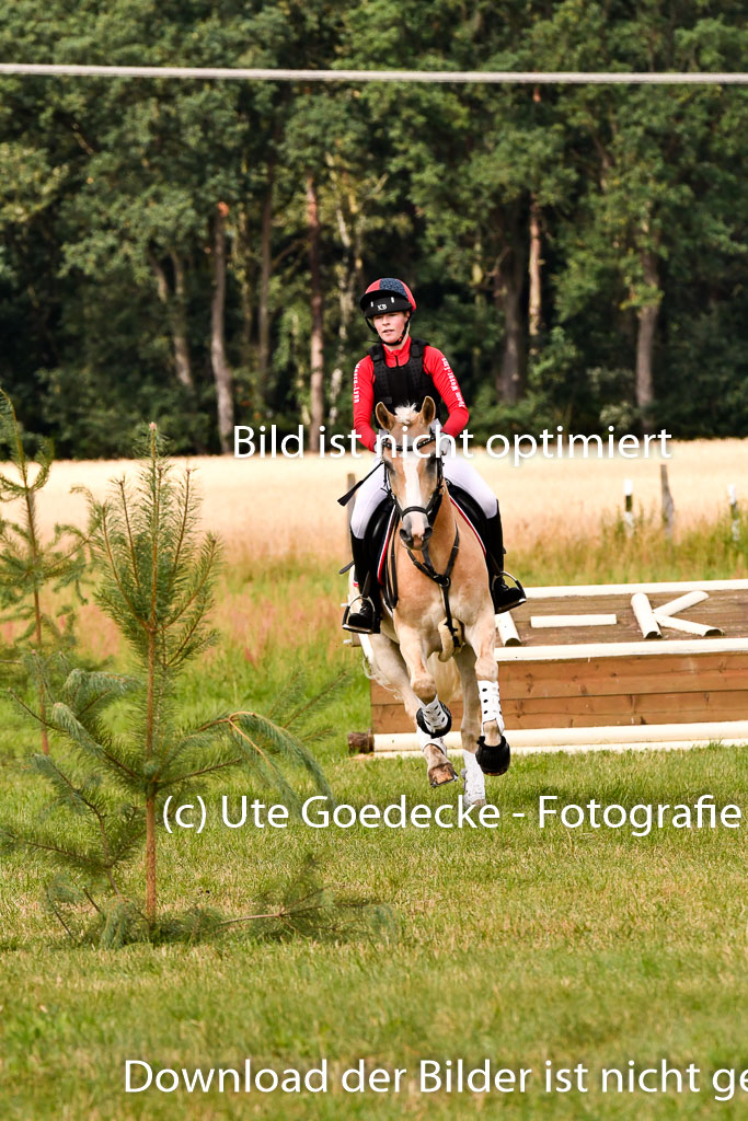 Goldene Schärpe Ponys in Hohenberg Krusemark 2024 | 13072024 Gelände 1 Abt_373
