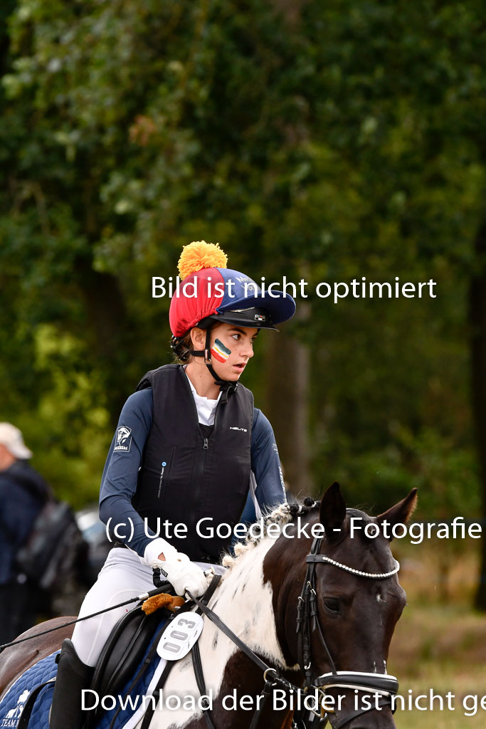 Goldene Schärpe Ponys in Hohenberg Krusemark 2024 | 13072024 Gelände 1 Abt_377