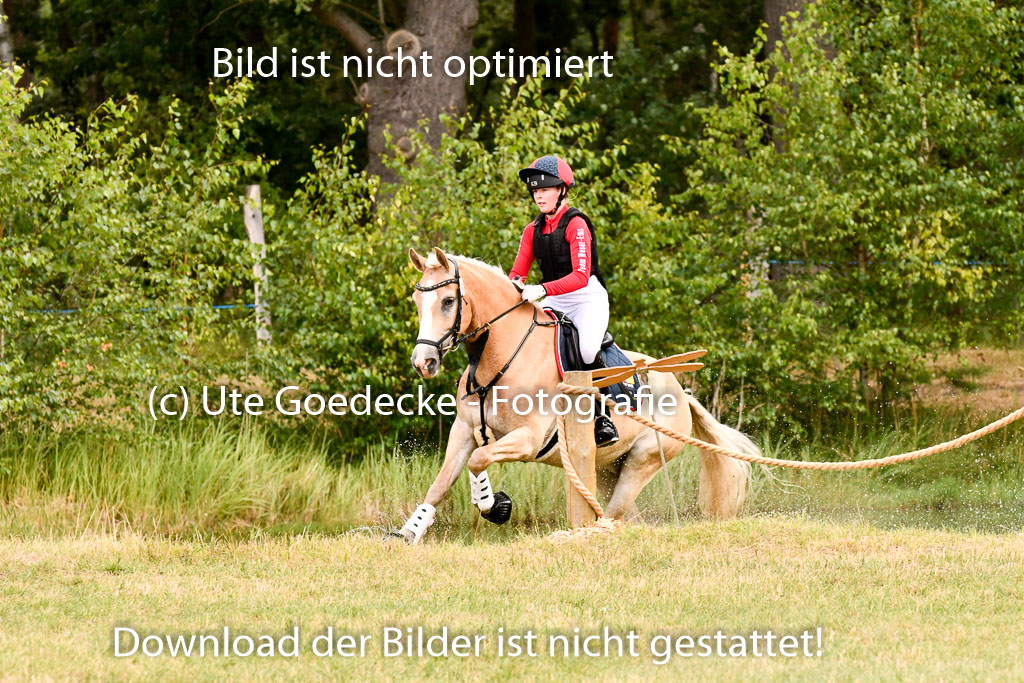 Goldene Schärpe Ponys in Hohenberg Krusemark 2024 | 13072024 Gelände 1 Abt_378