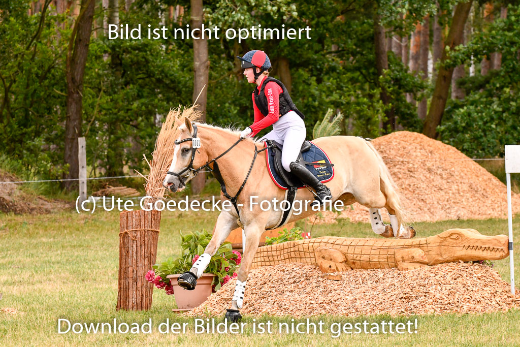 Goldene Schärpe Ponys in Hohenberg Krusemark 2024 | 13072024 Gelände 1 Abt_381 