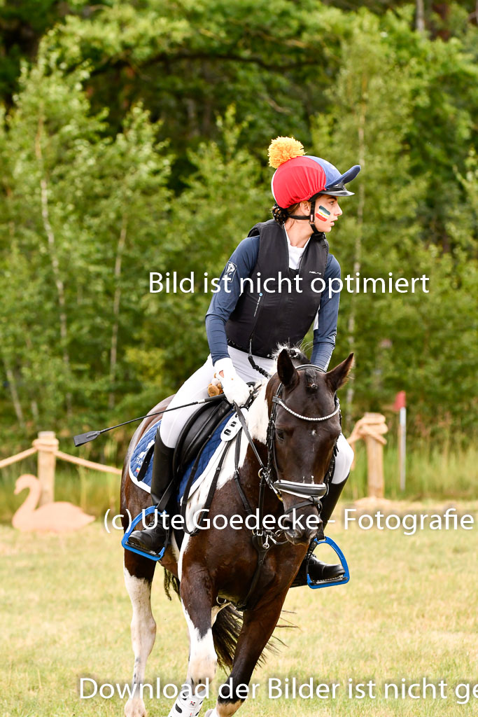 Goldene Schärpe Ponys in Hohenberg Krusemark 2024 | 13072024 Gelände 1 Abt_382 