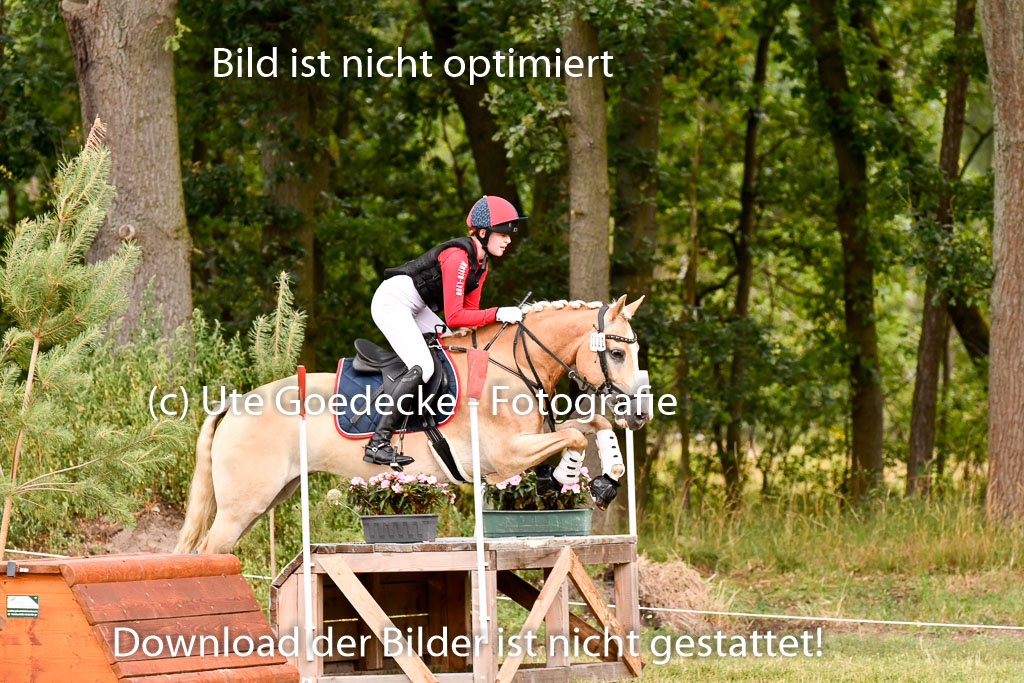 Goldene Schärpe Ponys in Hohenberg Krusemark 2024 | 13072024 Gelände 1 Abt_383